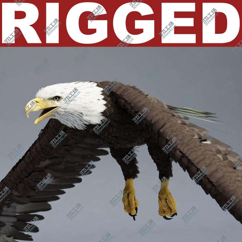 images/goods_img/202104094/Bald Eagle Rigged/1.jpg